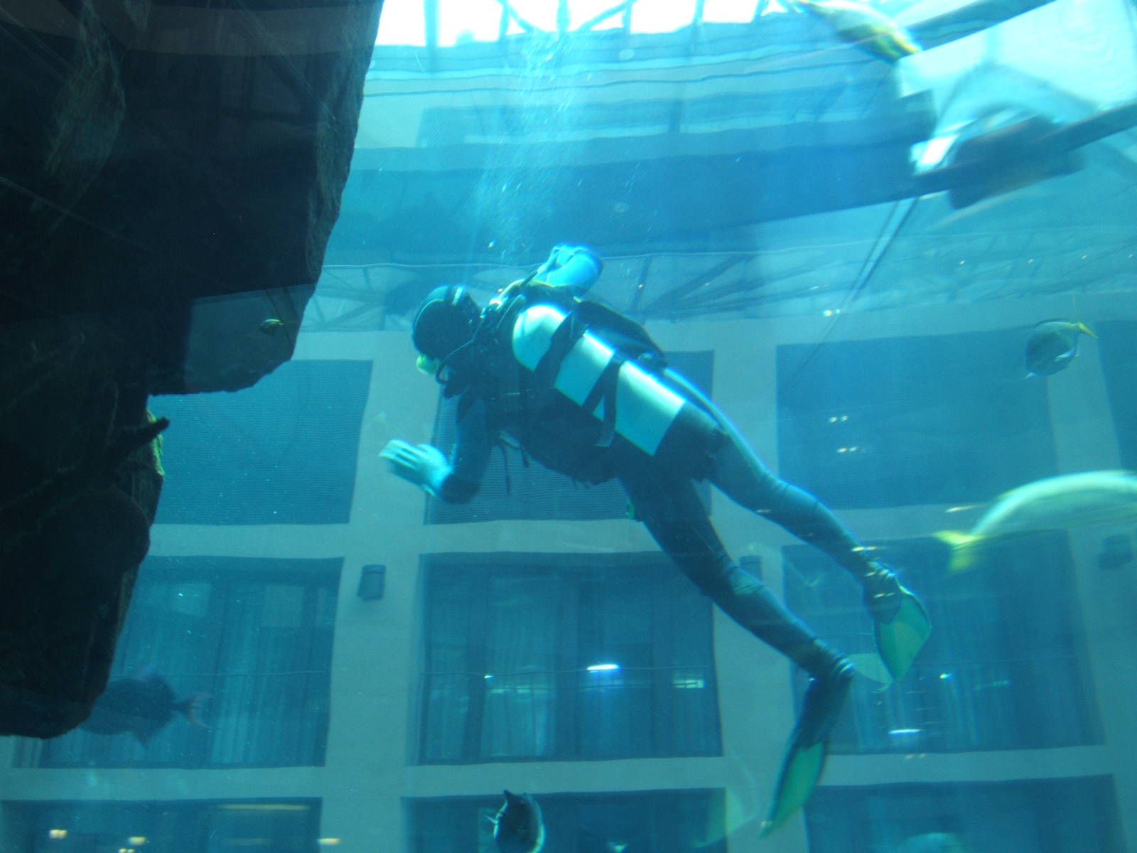 View of diver cleaning glass