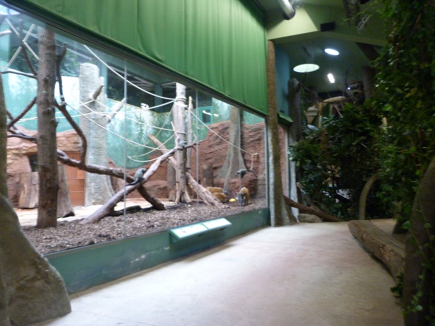 View of "Dja Reserve" -Zoo Praha (2025)