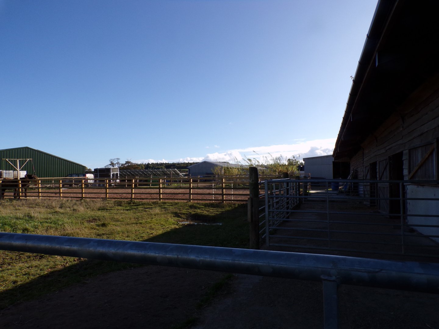 View of domestic animal paddocks 14.10.23