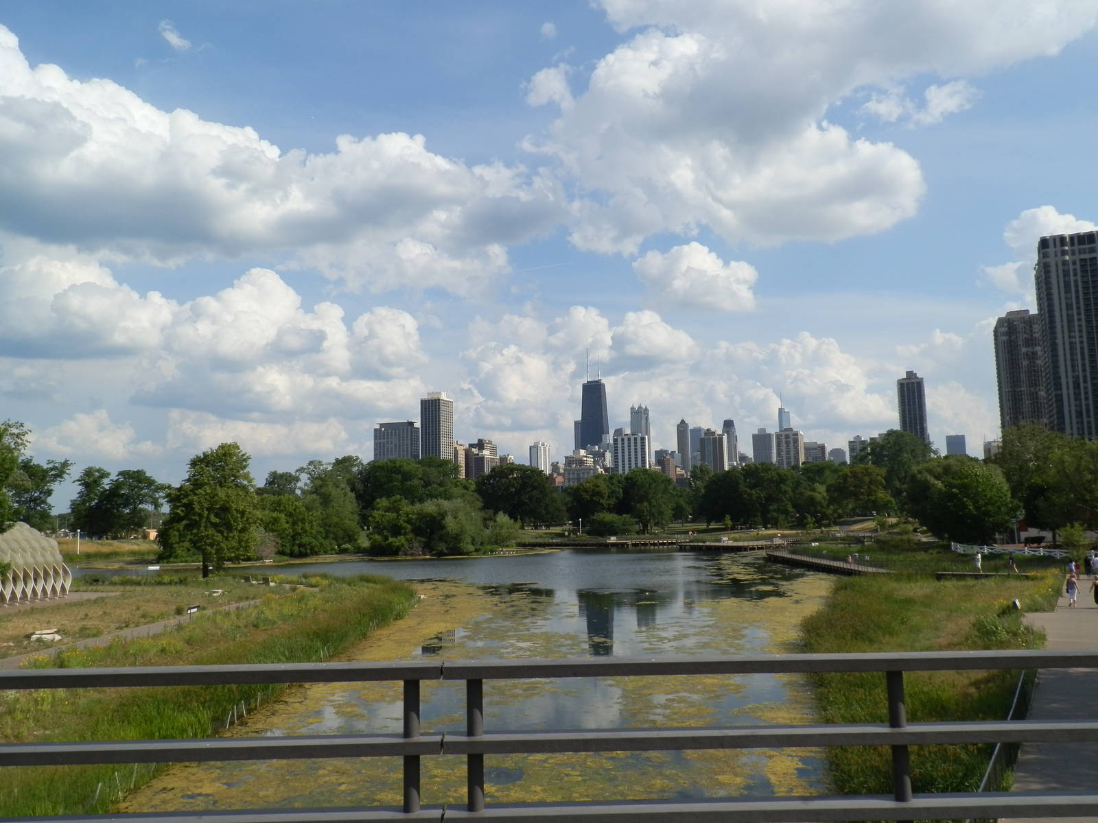 View of Downtown Chicago from Zoo Boardwalk