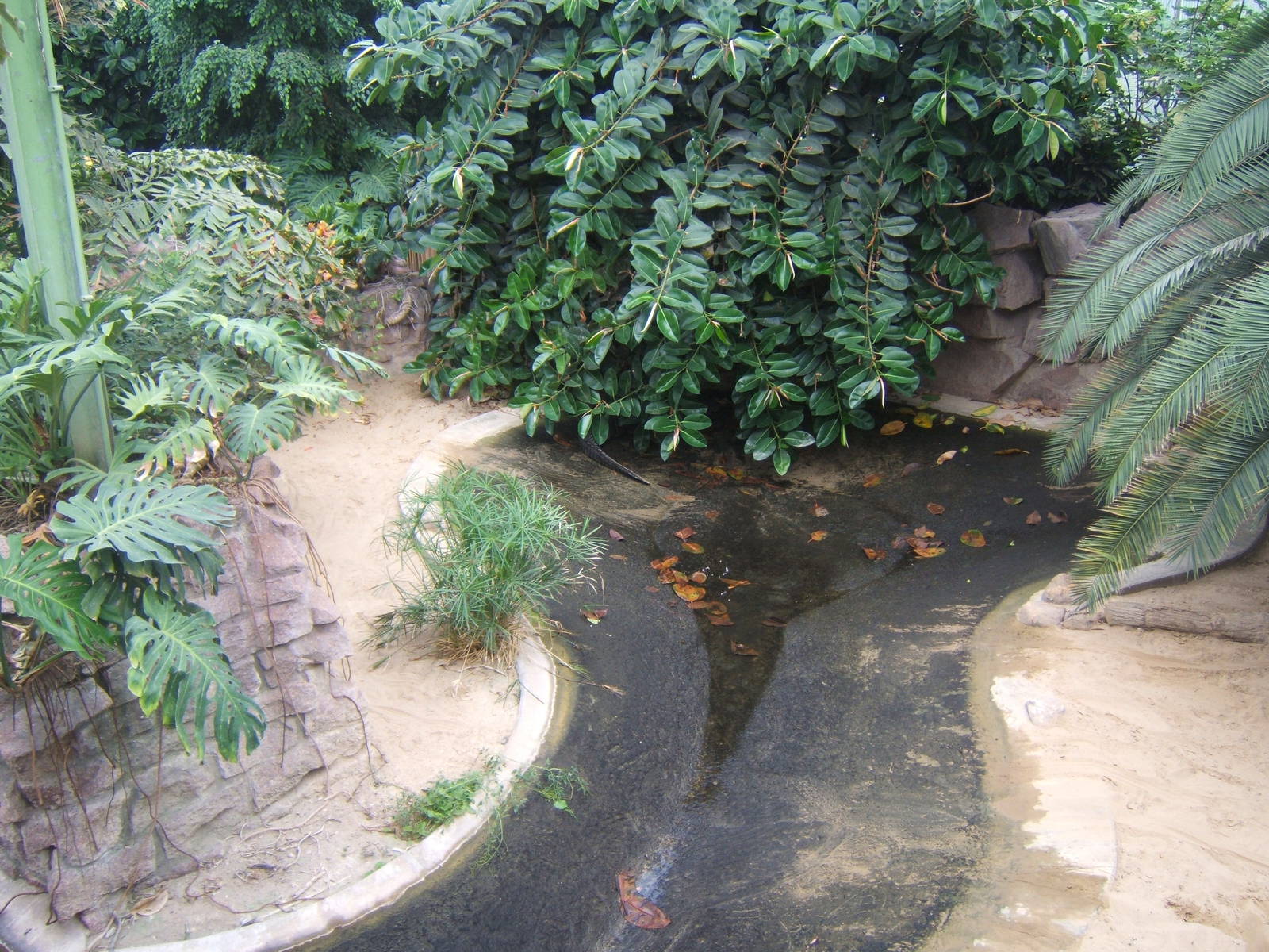 View of drained Alligator pool