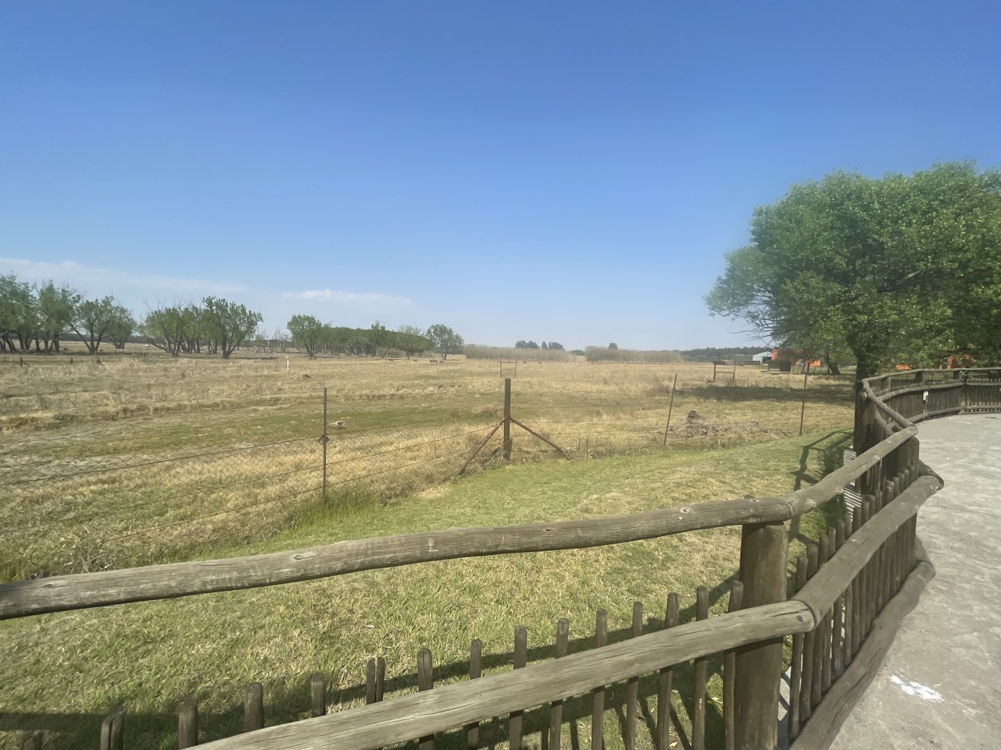 View of Drive Through Area