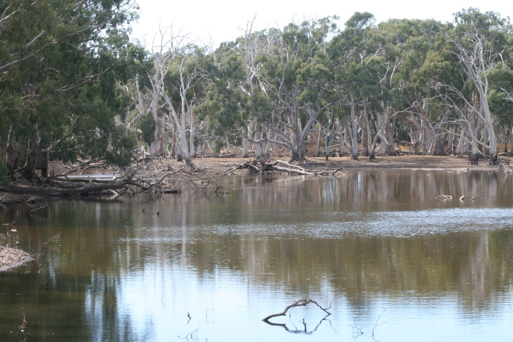 View of Duck Lagoon