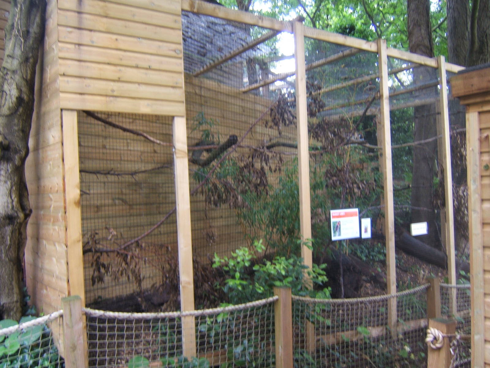 View of Dusky Lory Aviary