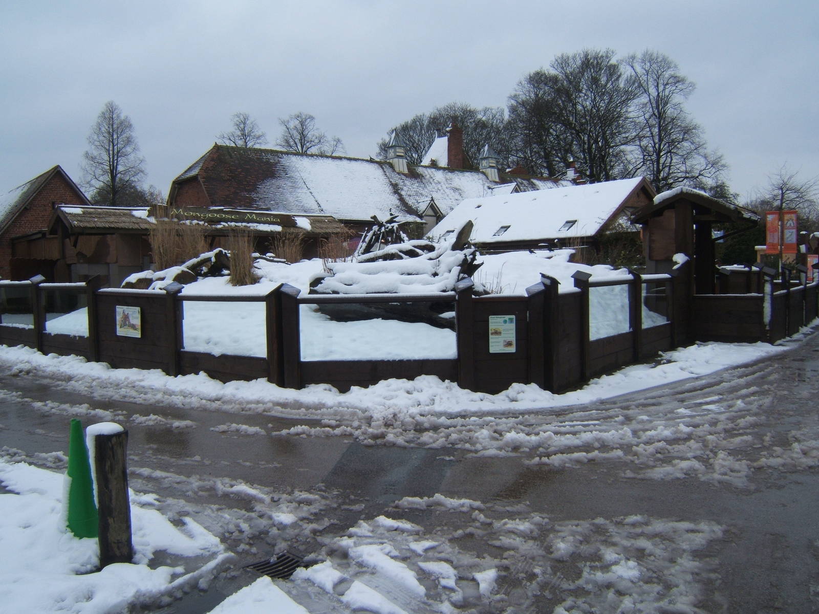 View of Dwarf Mongoose exhibit