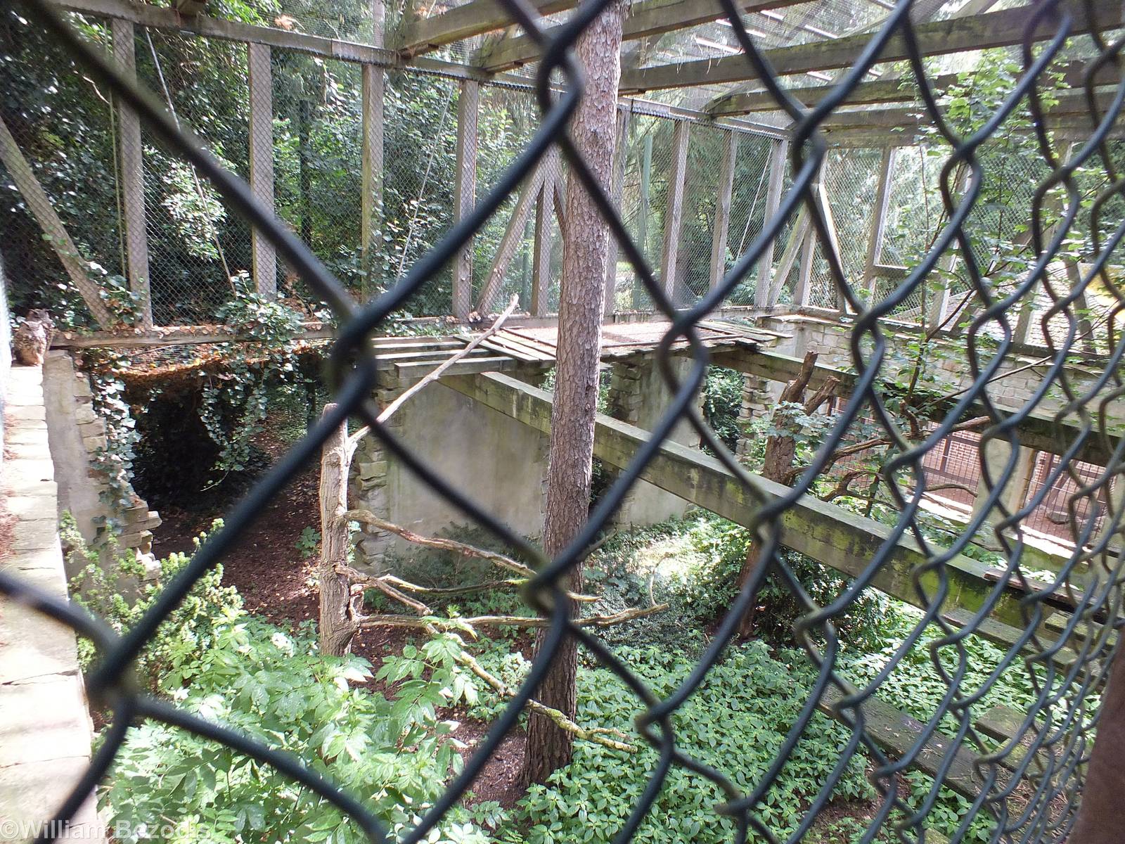 View of Eagle Owl Enclosure in 'Uhu-Burg'