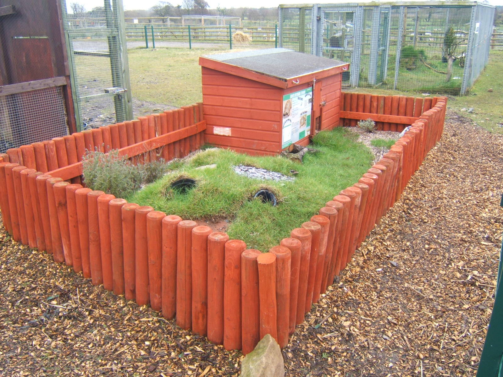 View of Eastern Herman Tortoise enclosure