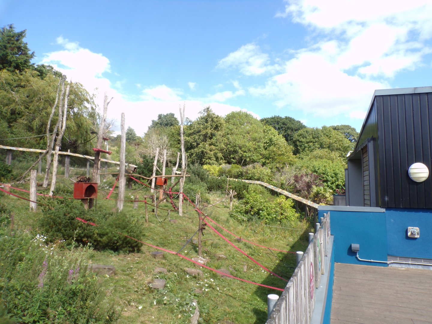 View of Eastern side of Living Links 18.7.25