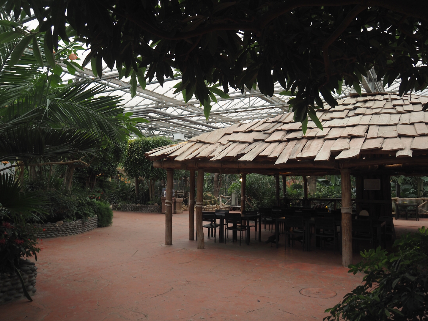 View of eating area and walkways in the Oasis greenhouse, 2024-09-17