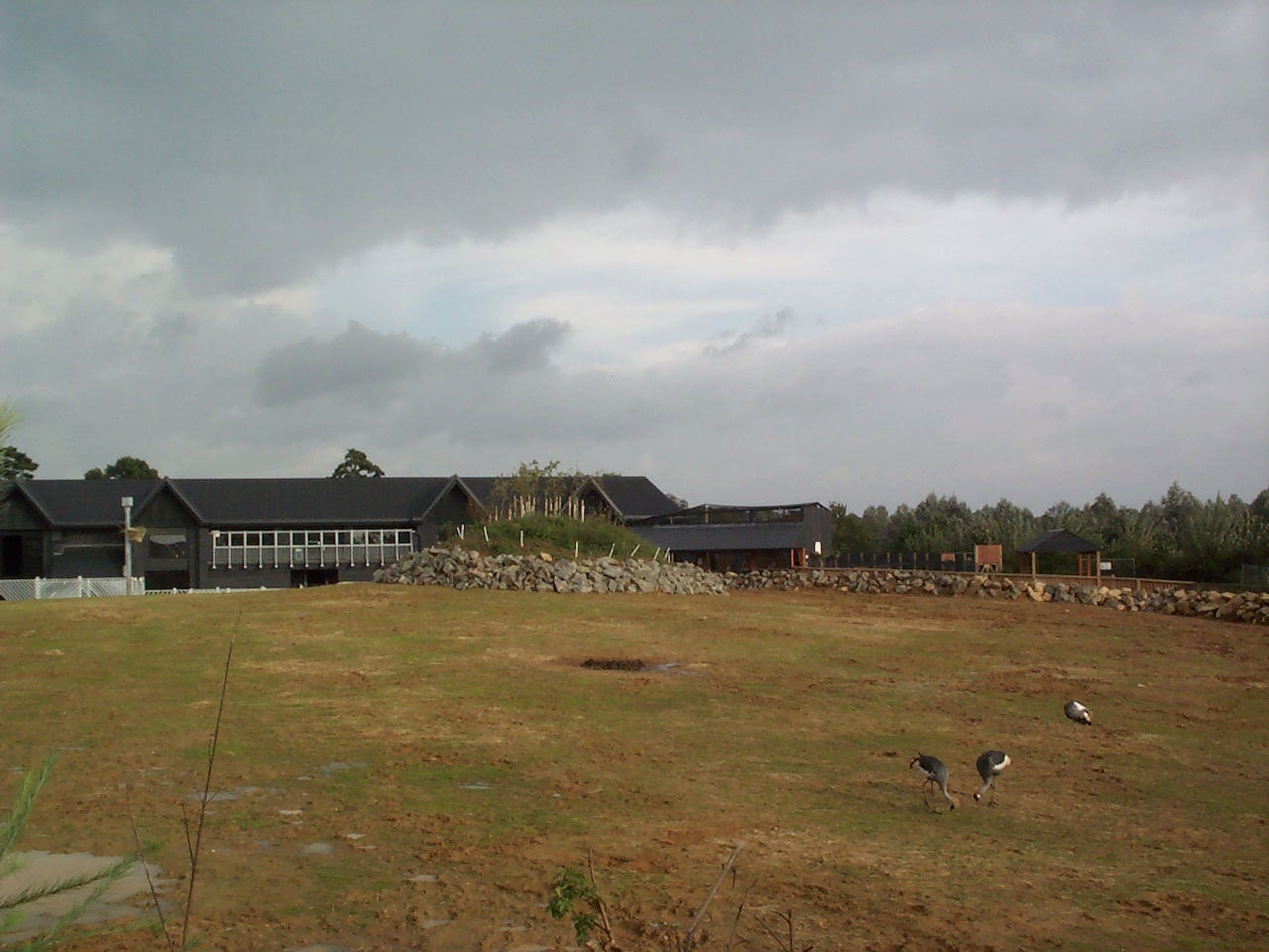 view of edge of Africa paddock