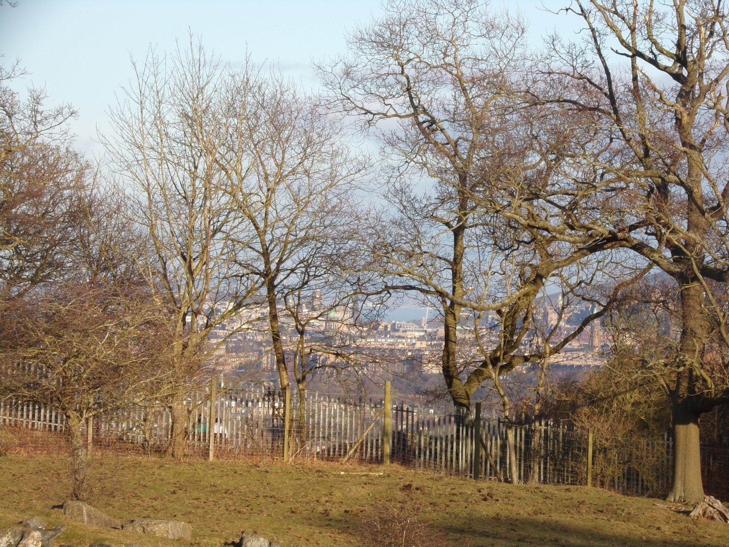 View of Edinburgh from African Plains 1.3.25