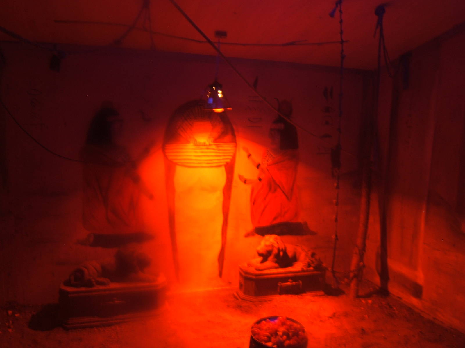 View of Egyptian Fruit Bat enclosure