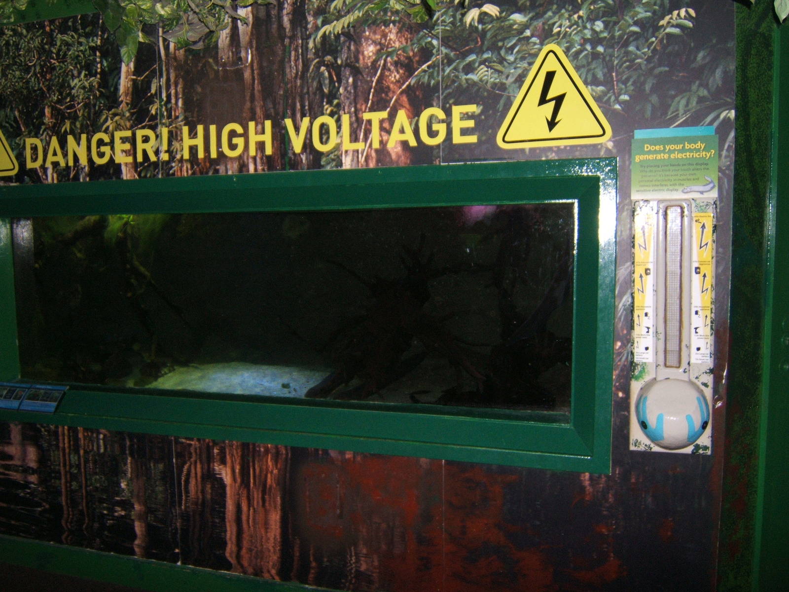 View of Electric Eel exhibit