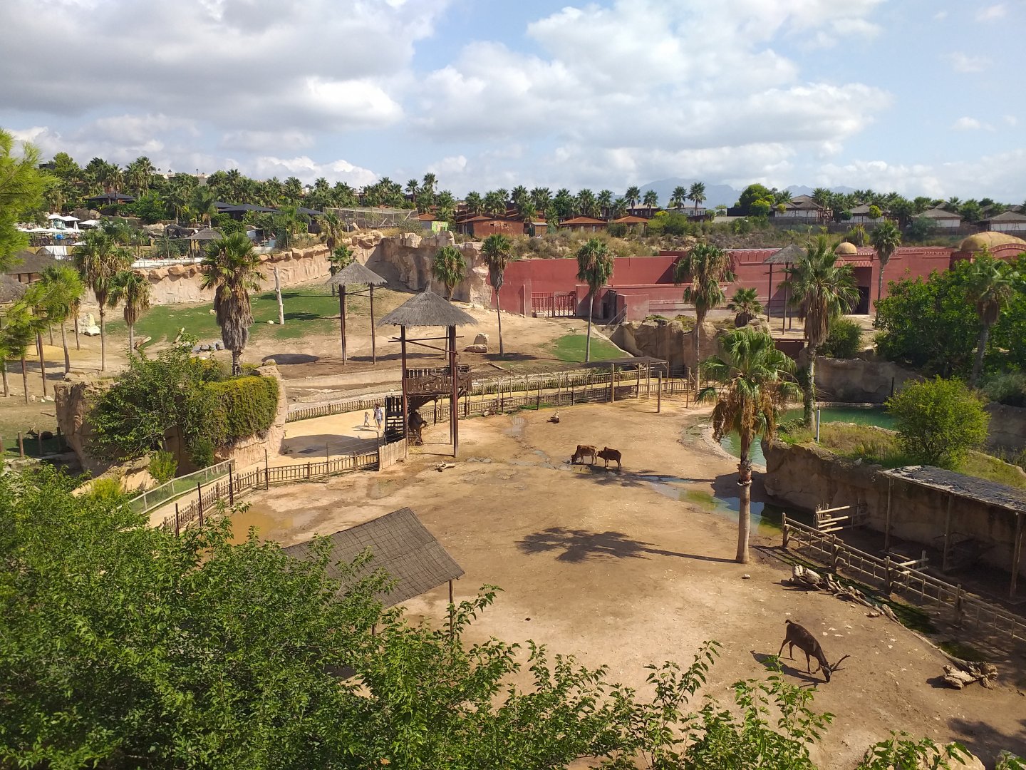 View of elephant and hoofstock paddocks -TerraNatura Benidorm (2021)
