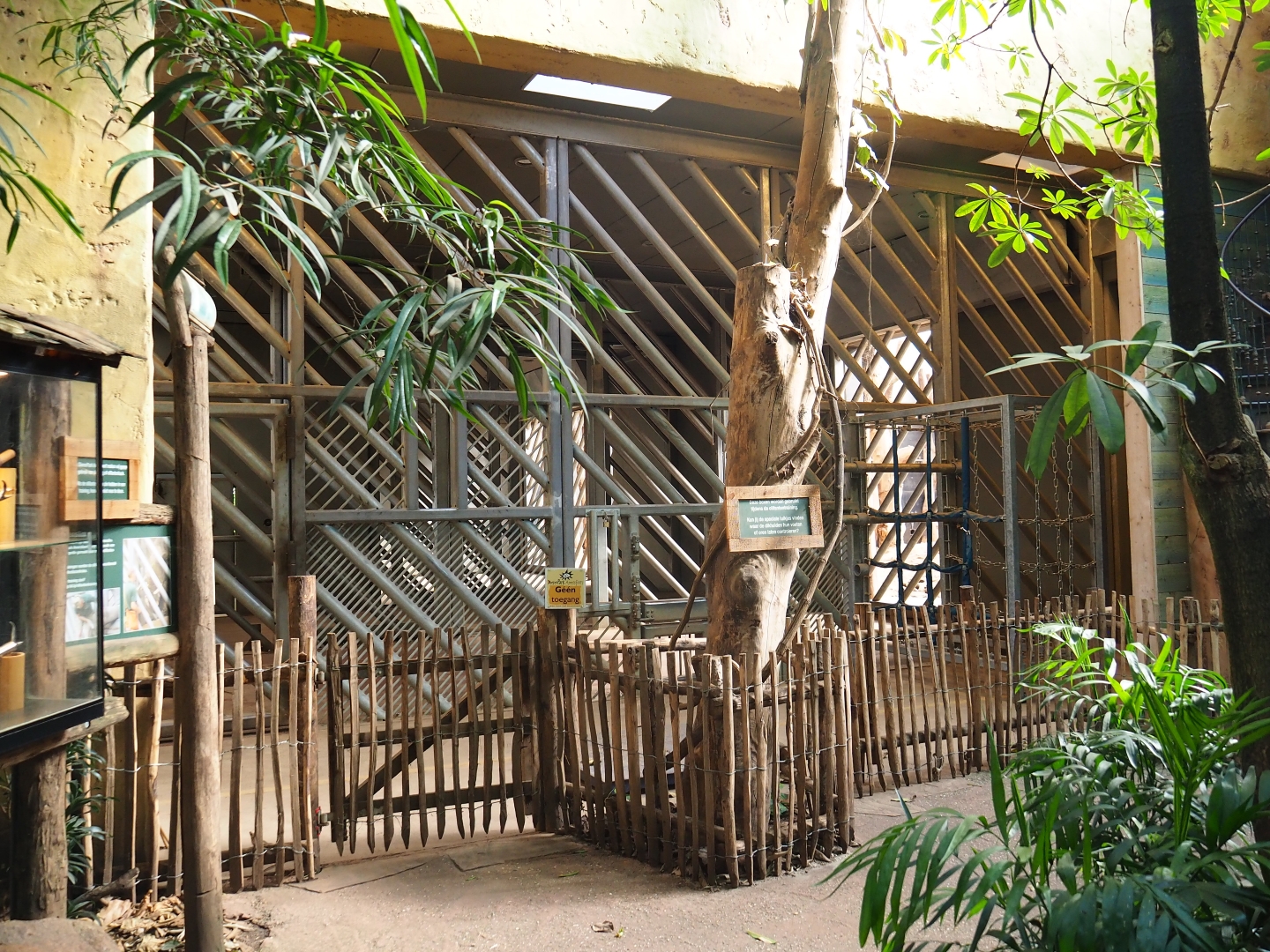 View of elephant care and separation boxes in the elephant house