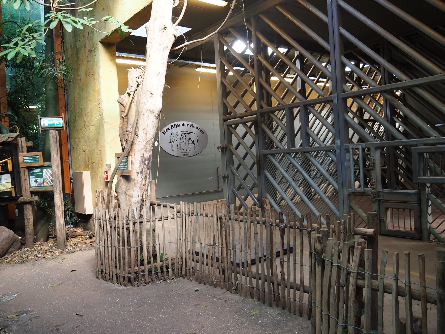View of elephant care and separation boxes in the elephant house