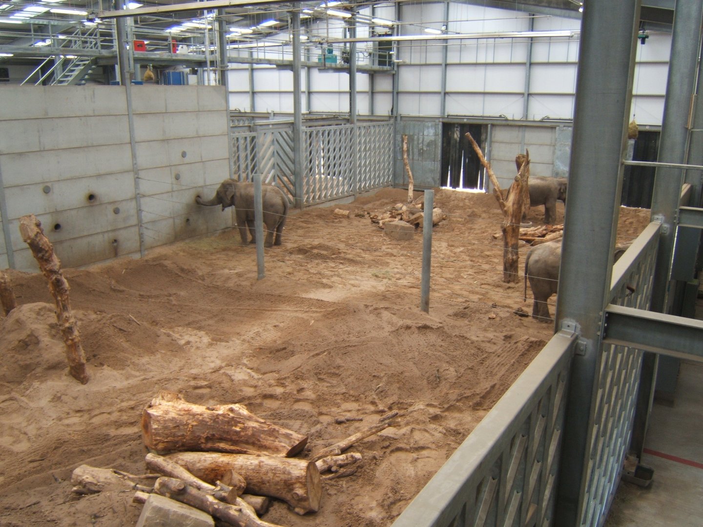View of Elephant enclosure 14/04/2019
