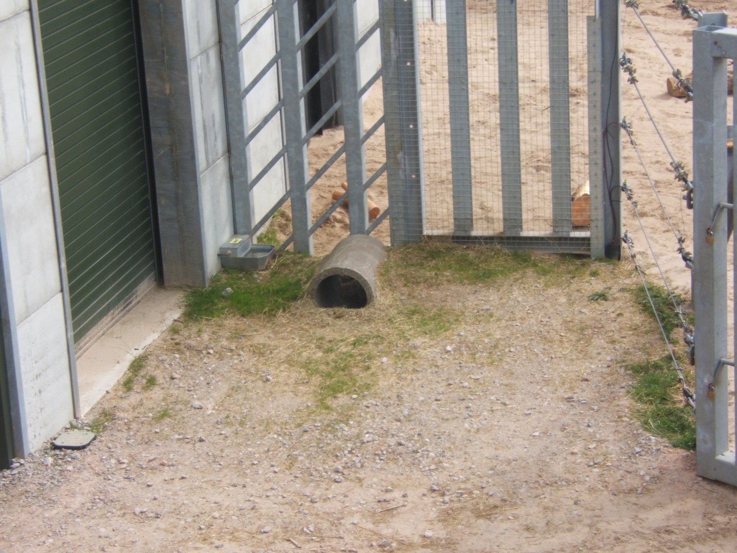 View of Elephant enclosure 14/04/2019