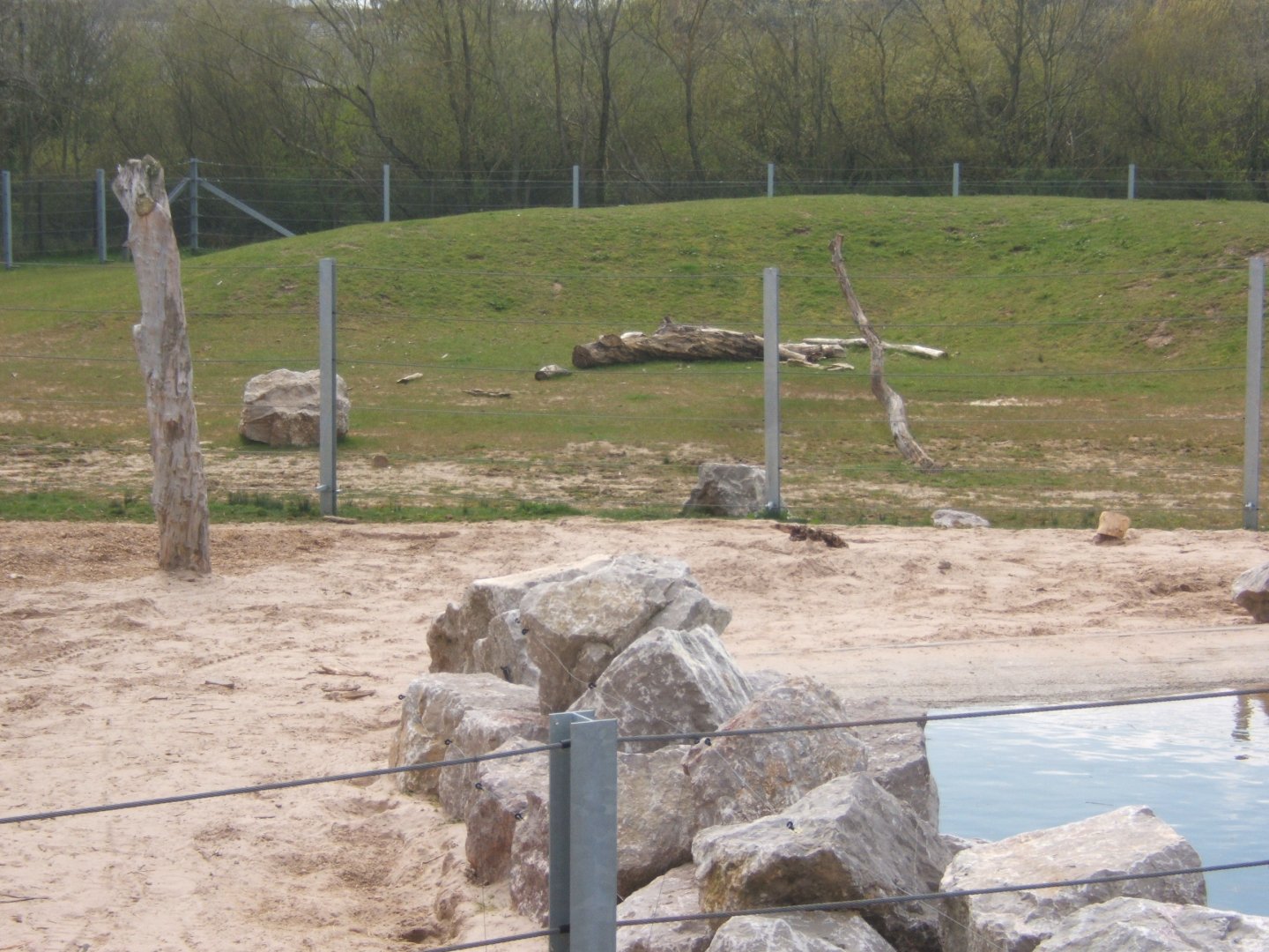 View of Elephant enclosure 14/04/2019