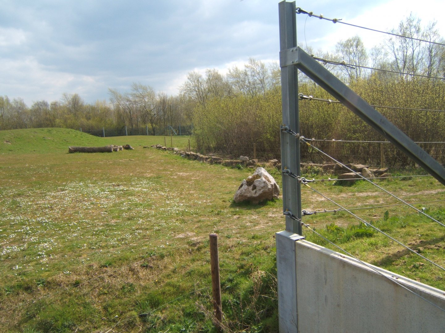 View of Elephant enclosure 14/04/2019