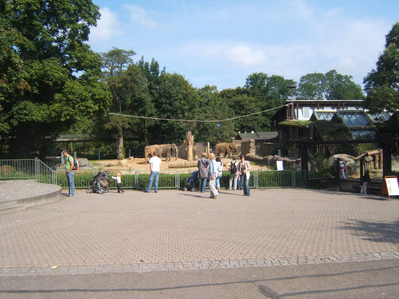 View of Elephant enclosure