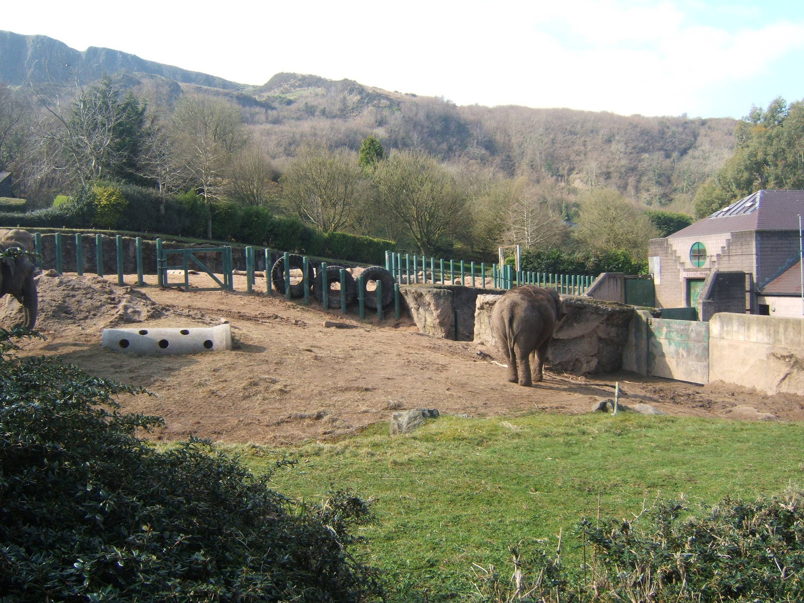 View of Elephant enclosure