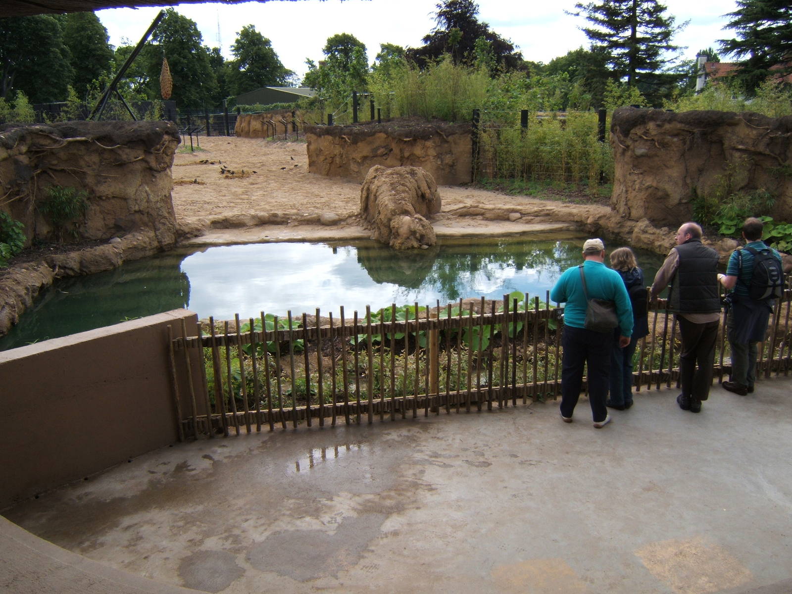 View of Elephant enclosure