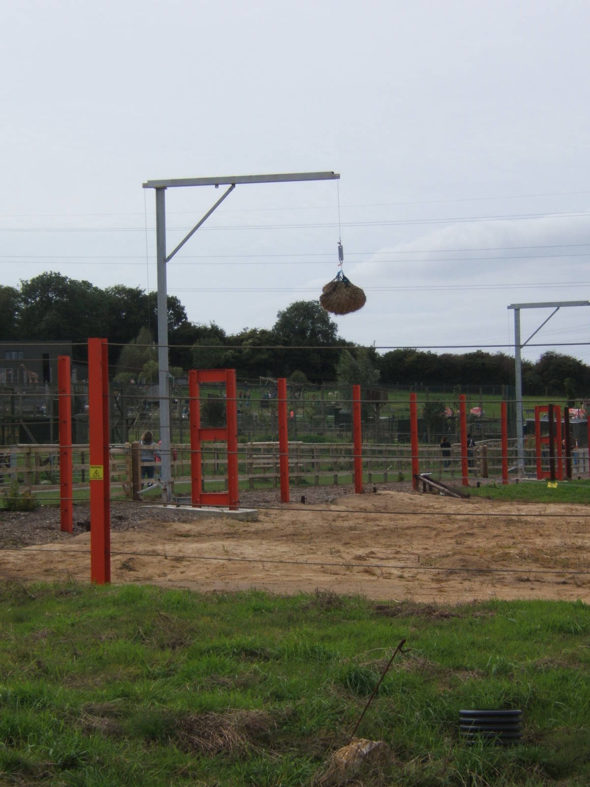 View of Elephant feeder
