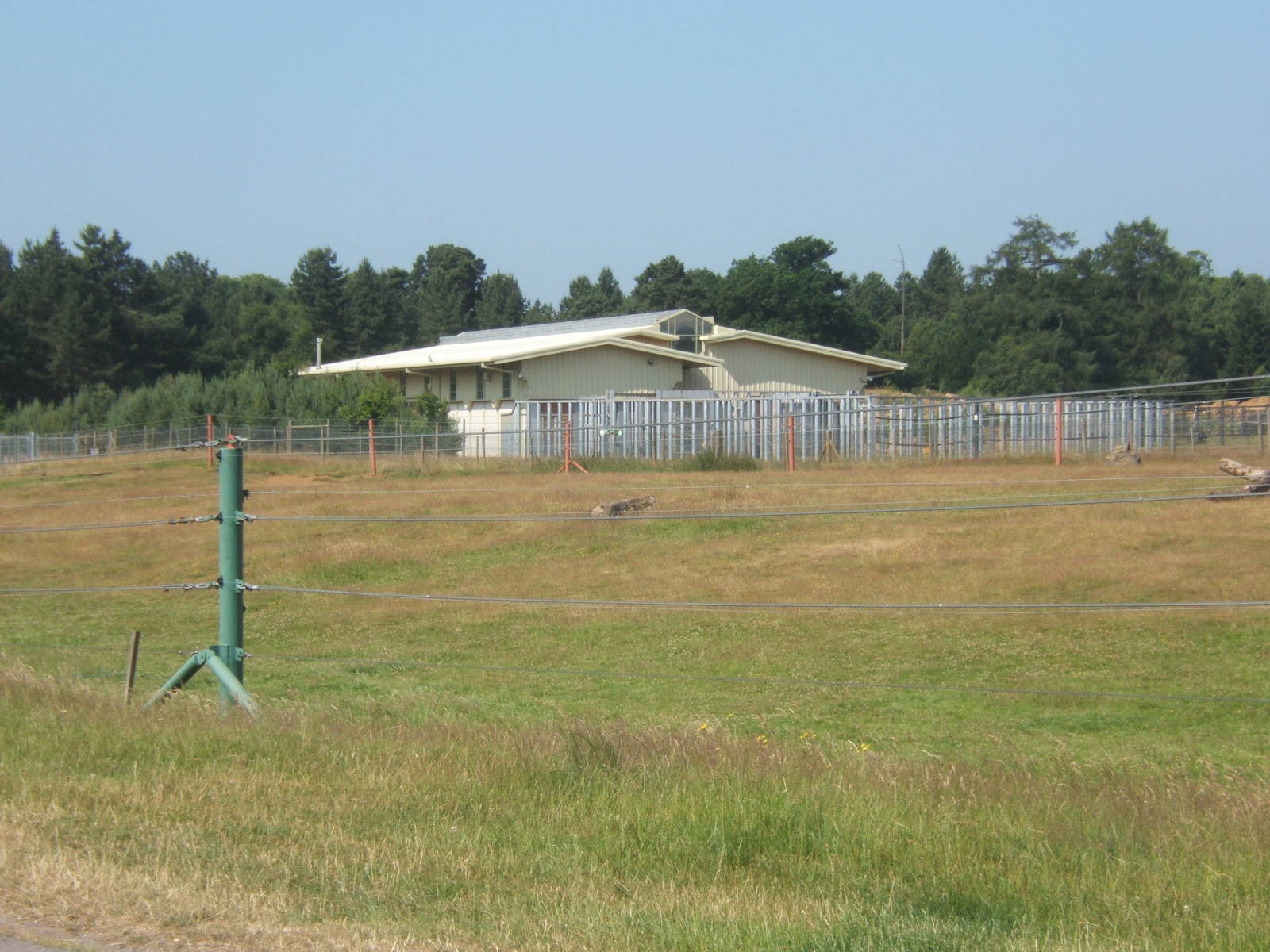 View of Elephant House