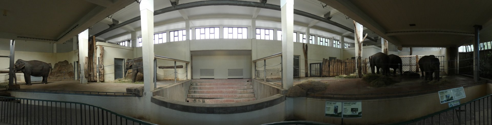 View of Elephant House