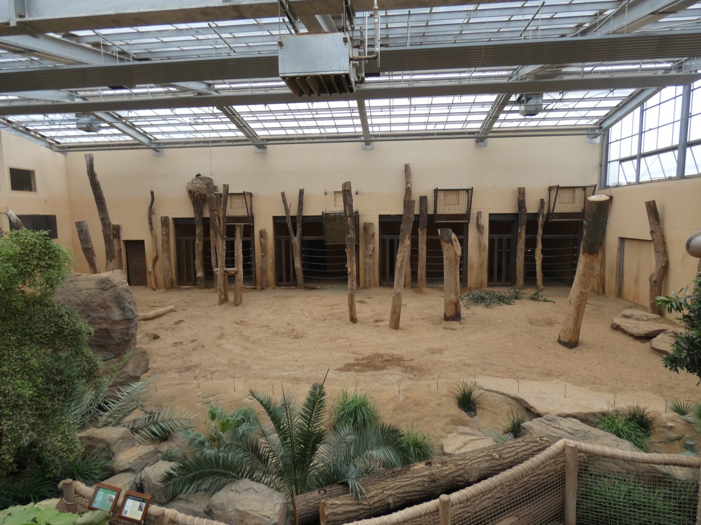 View of Elephant Indoors