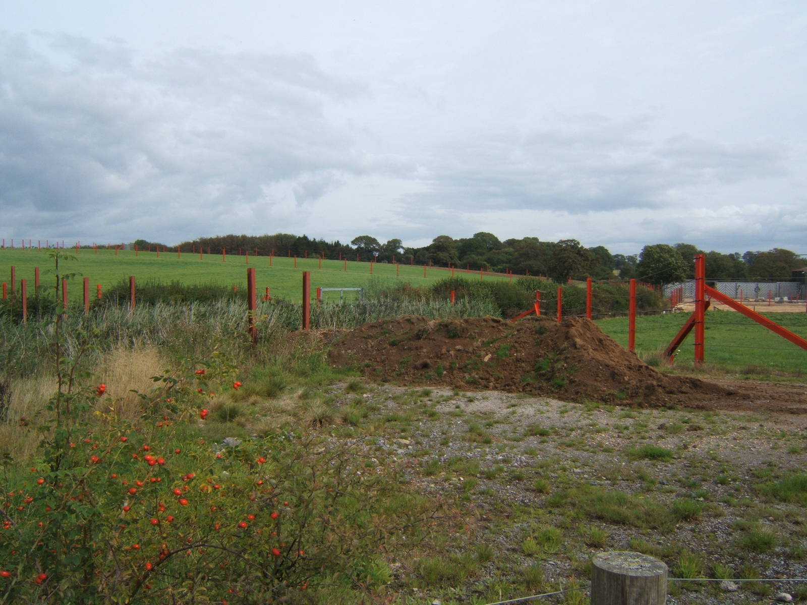 View of Elephant Paddock