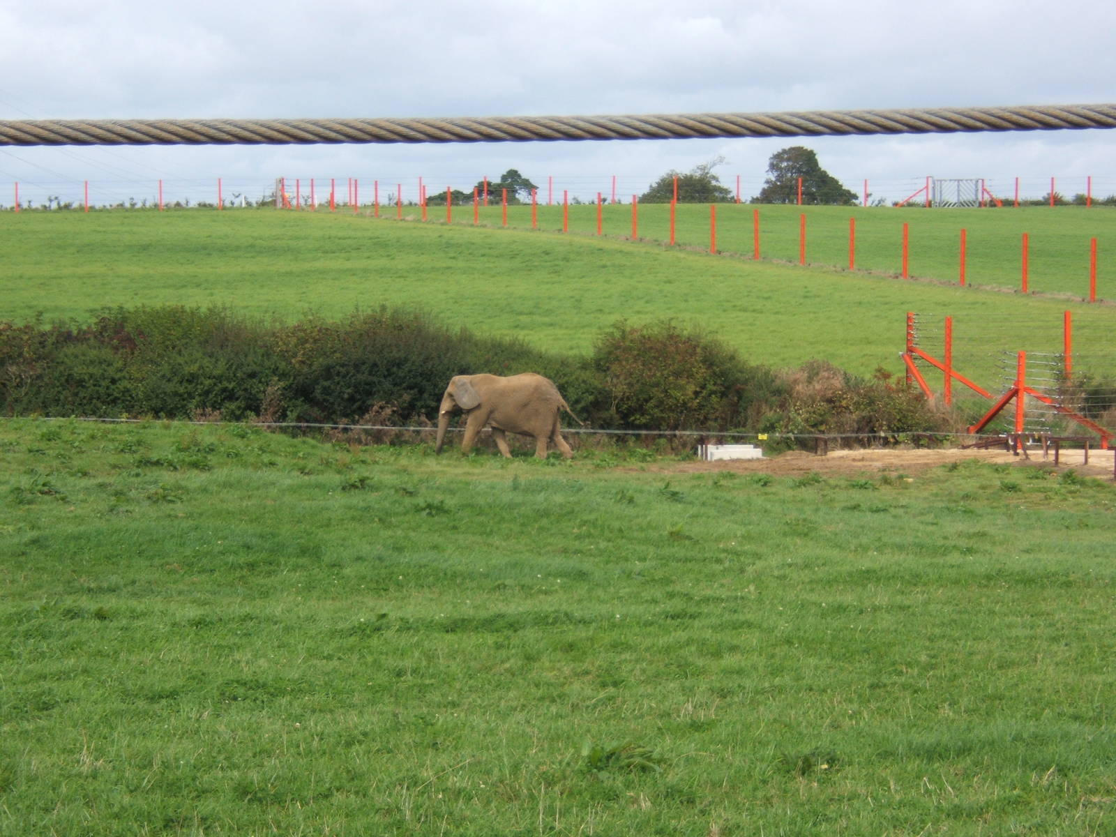 View of Elephant Paddock