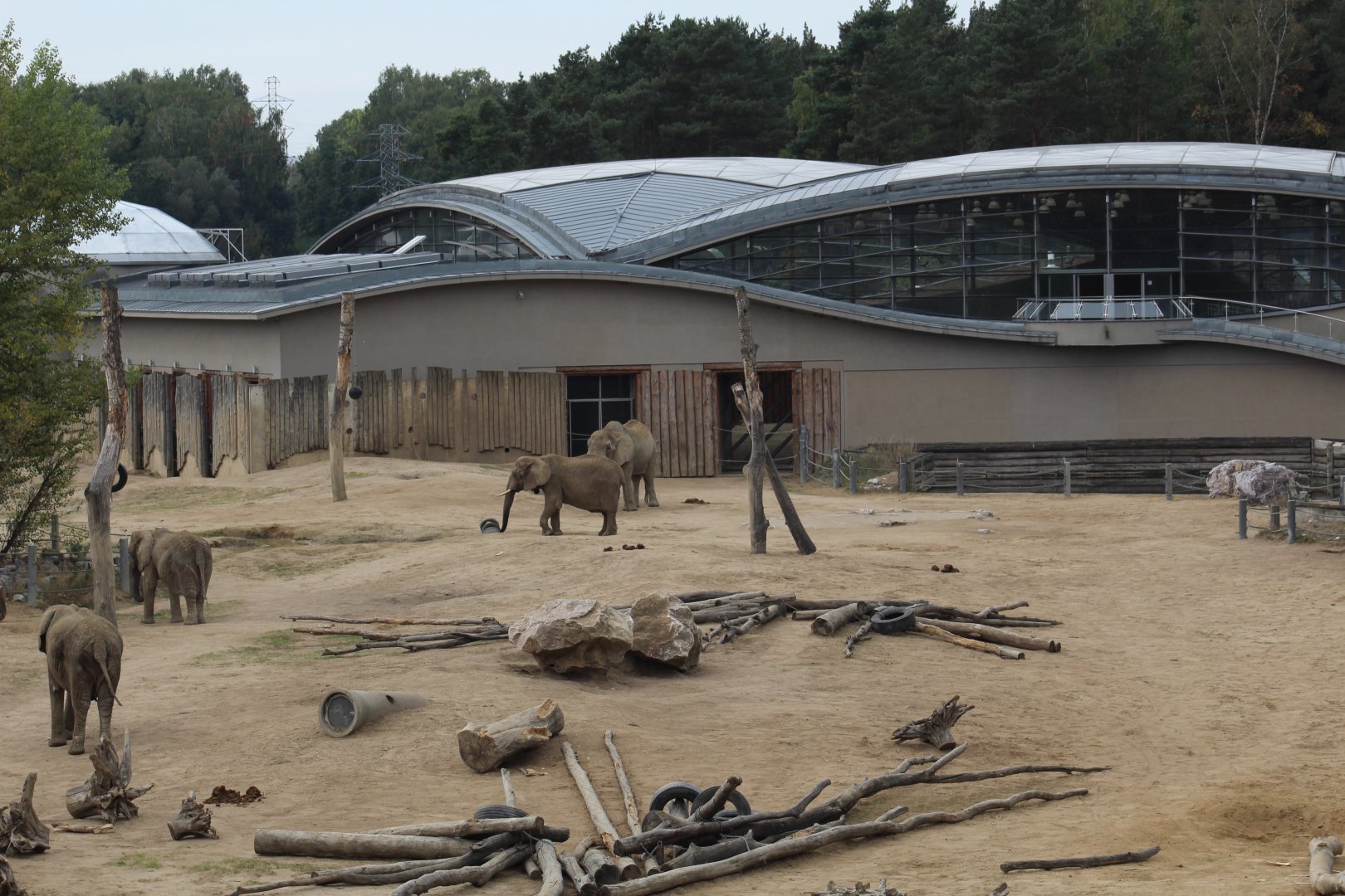 View of Elephant Paddock