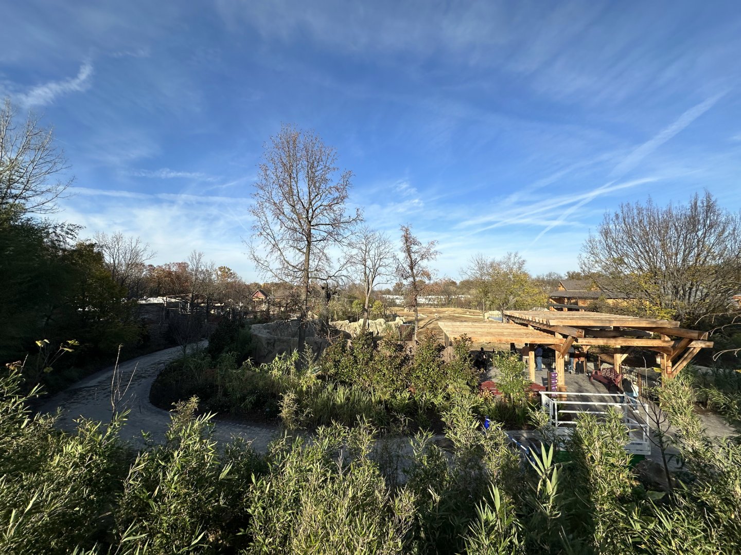 View of Elephant Trek from Zen Garden