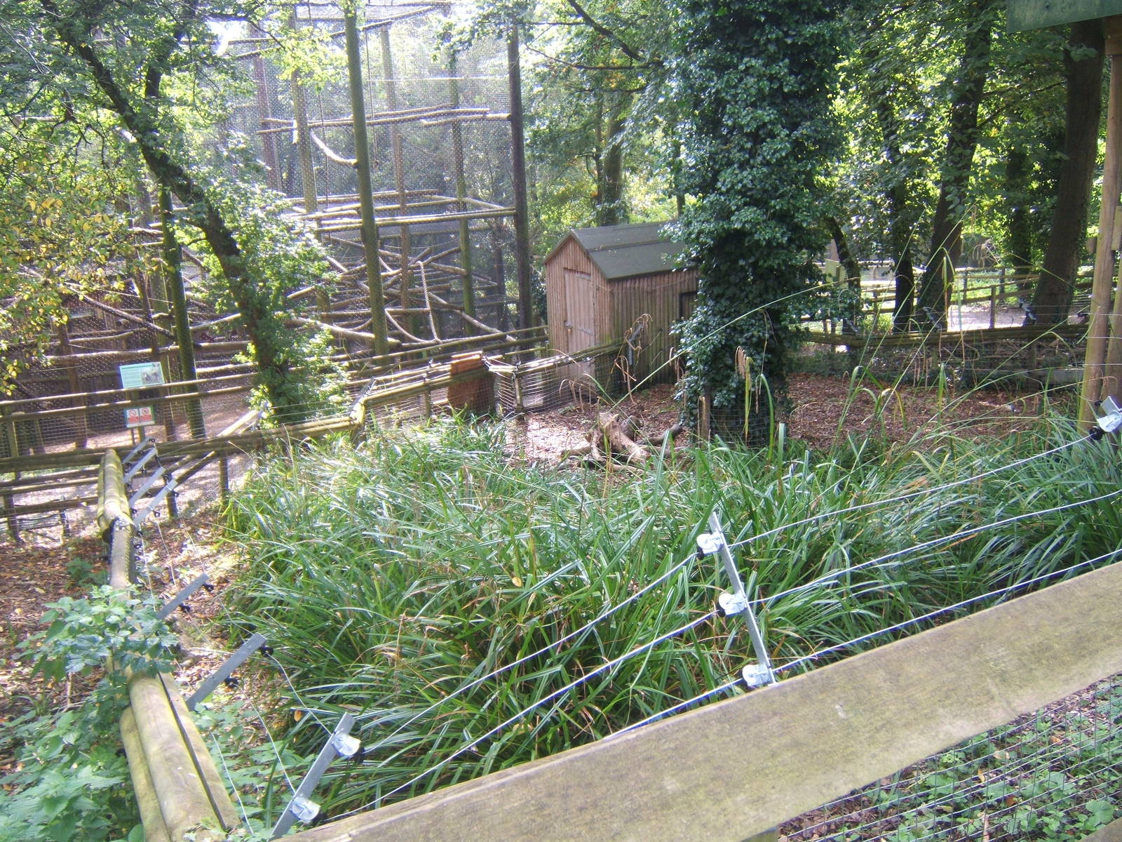 View of empty Agouti enclosure