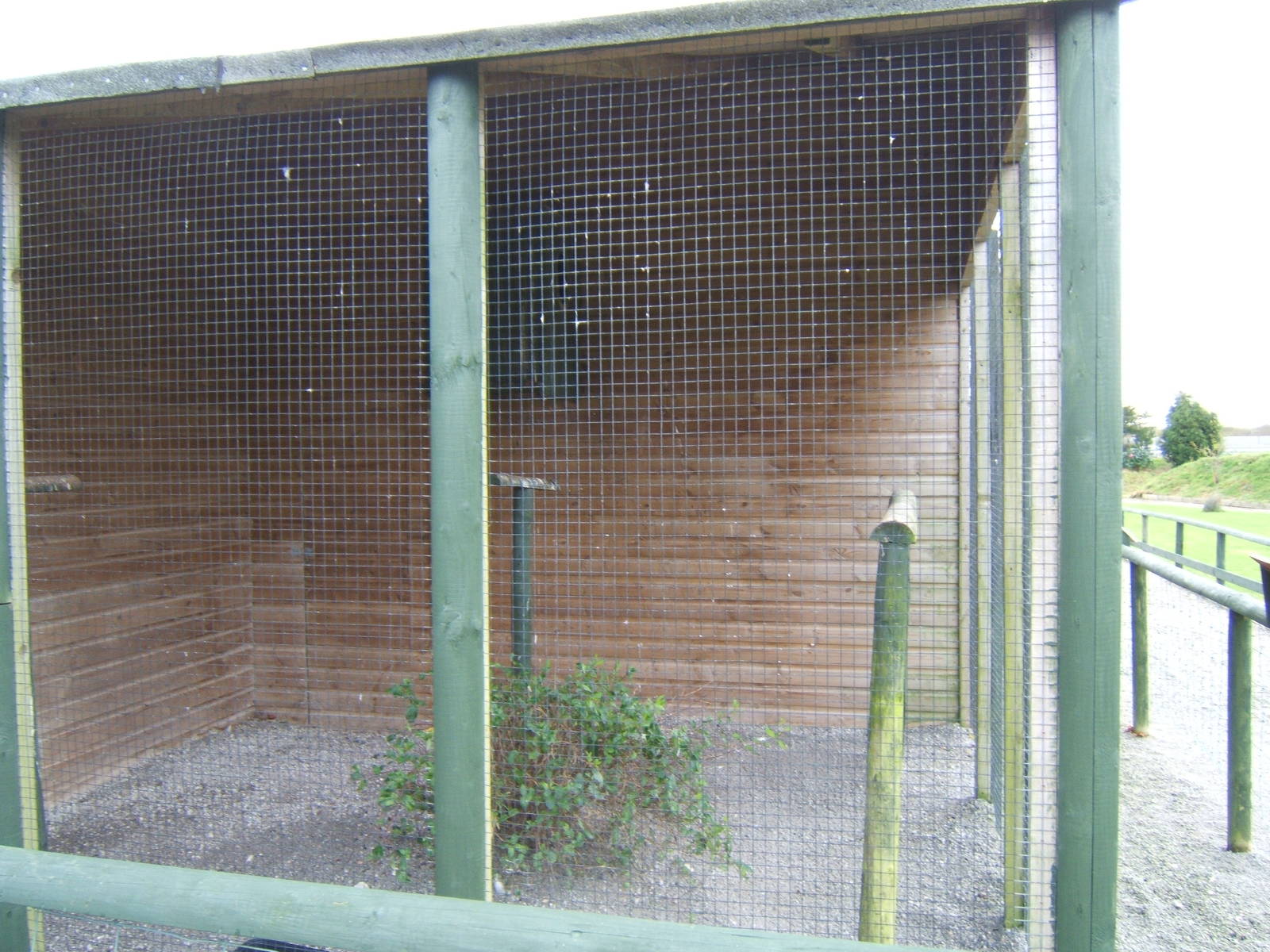 View of empty aviary
