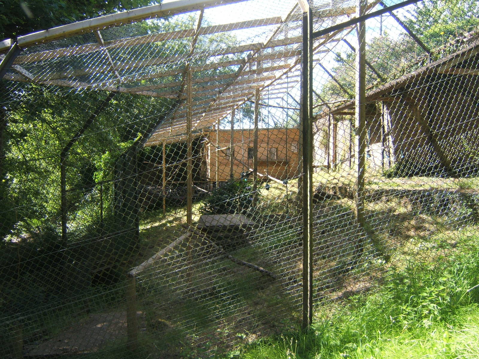 View of empty Macaque enclosure