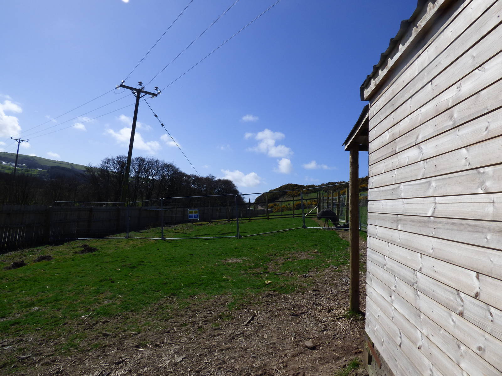 View of Emu Enclosure in extension