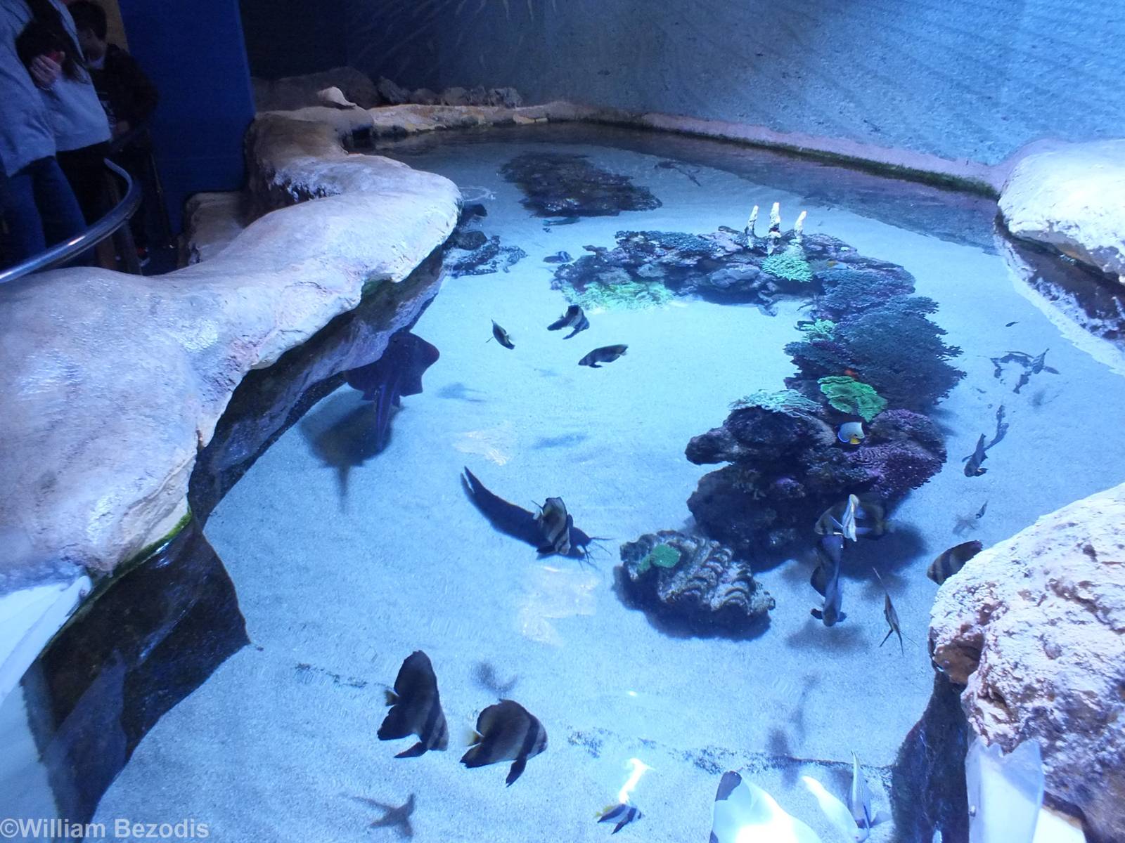 View of Enclosure in Far North Coast Section