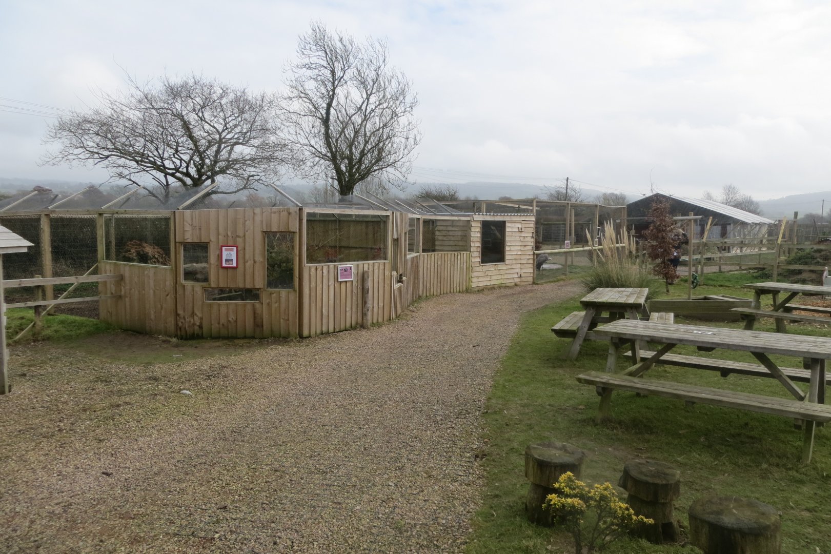 View of enclosures 170219