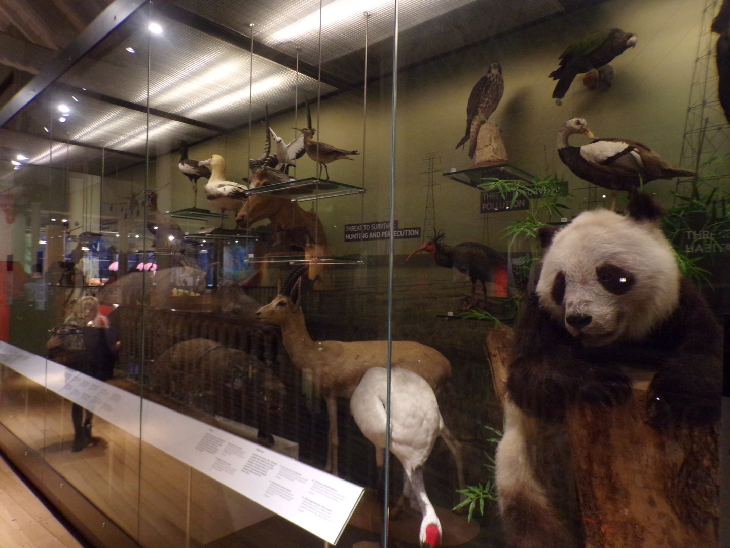 View of endangered animal exhibit 30.12.22