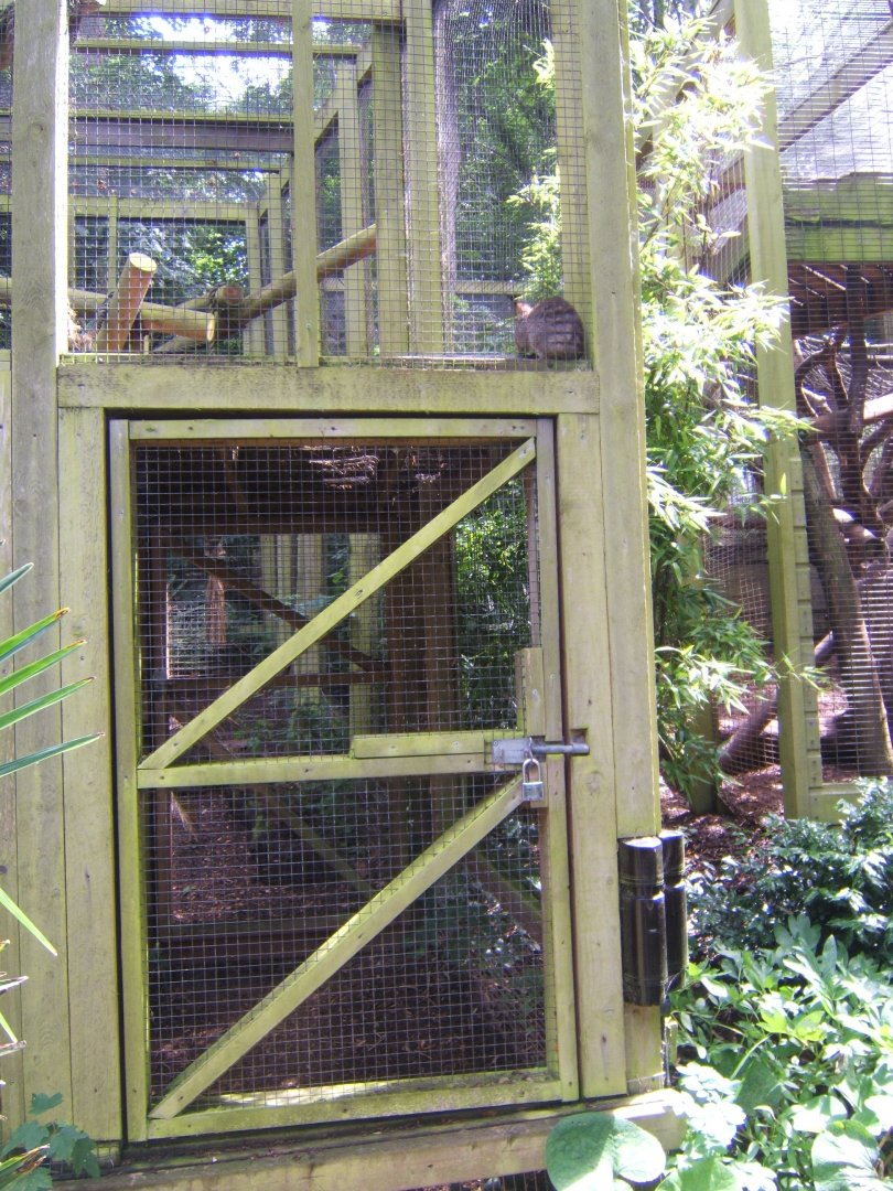 View of entrance into an enclosure with a high level long-nosed Potaroo 30/07/2017