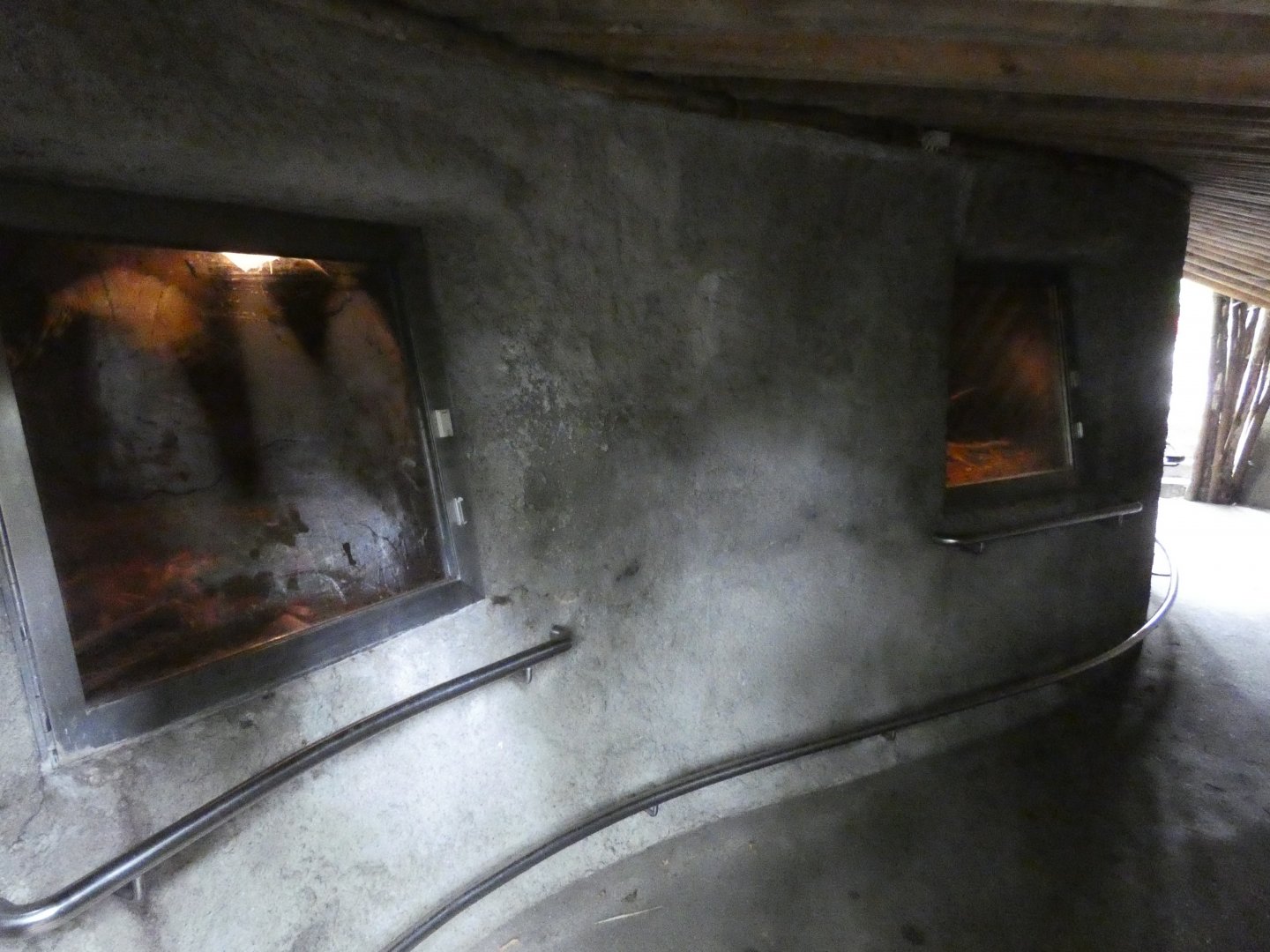 View of Eurasian Beaver dens