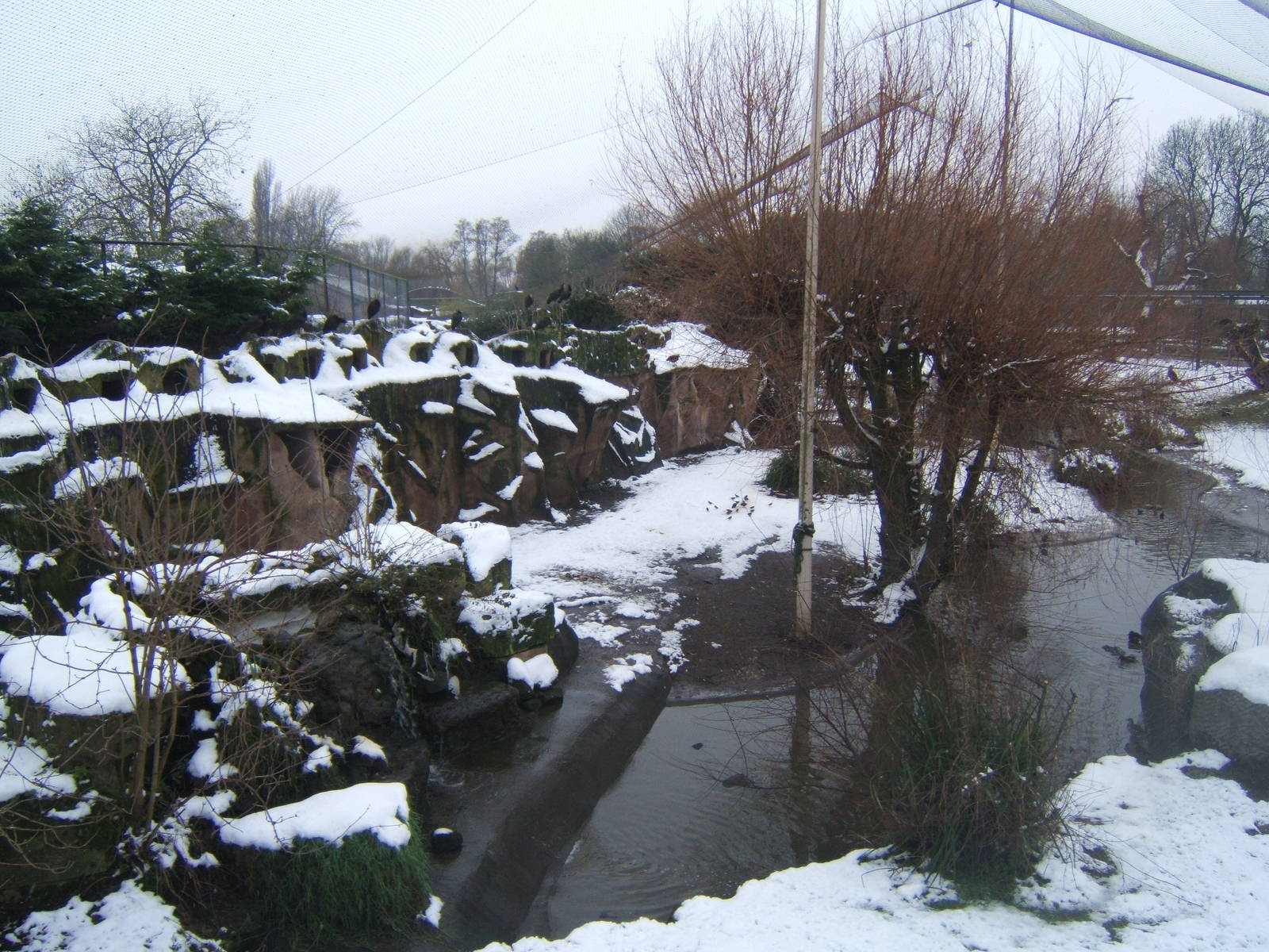 View of Europe on the Edge Aviary in snow
