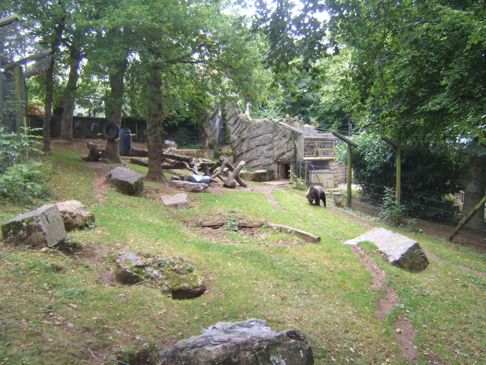 View of European Brown Bear enclosure