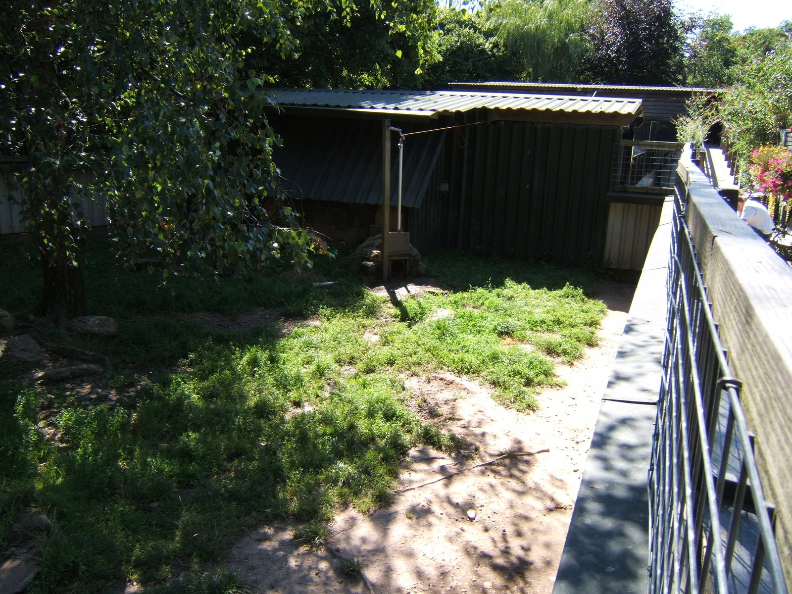 View of European Otter enclosure