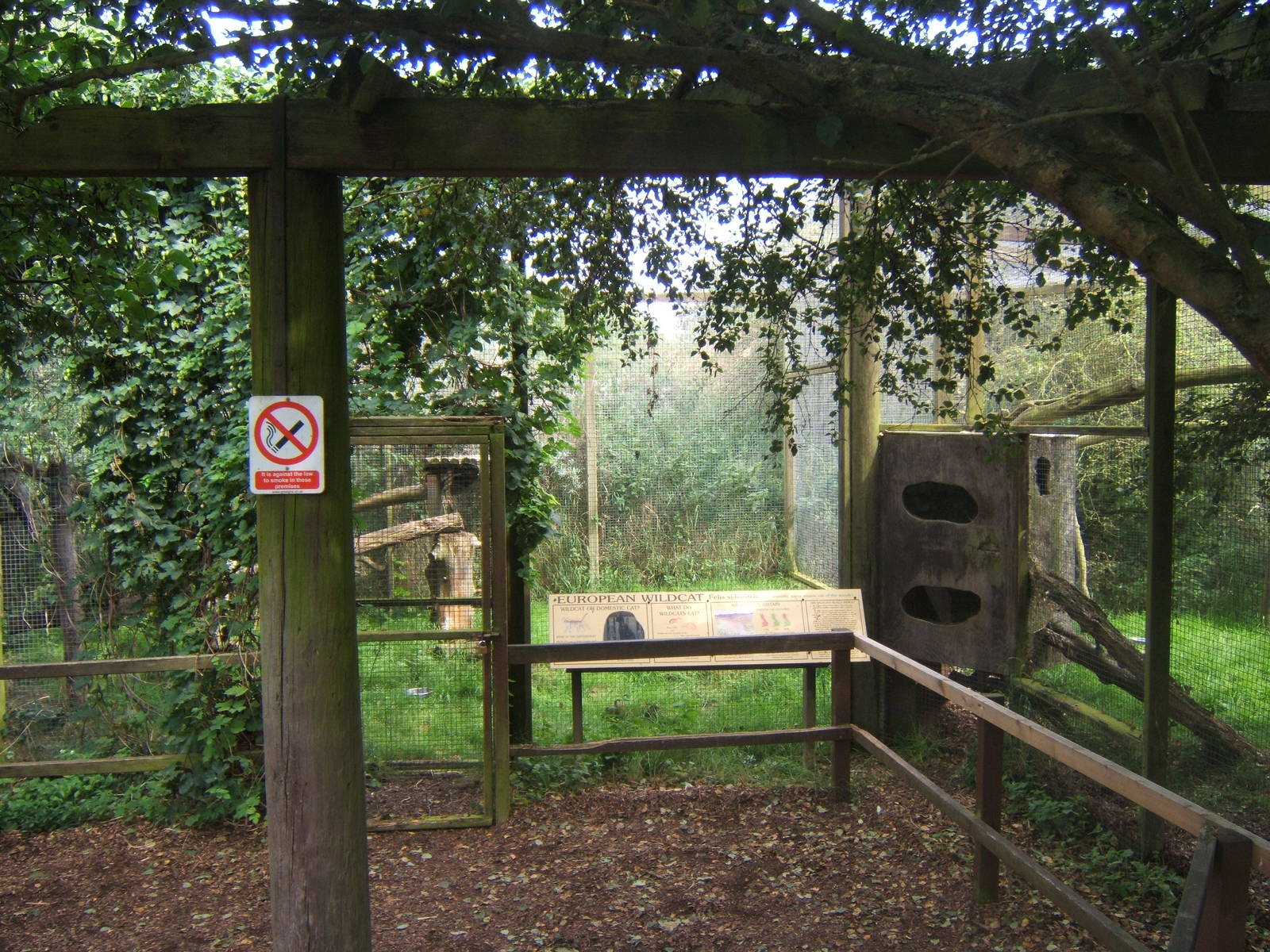 View of European Wild Cat enclosures