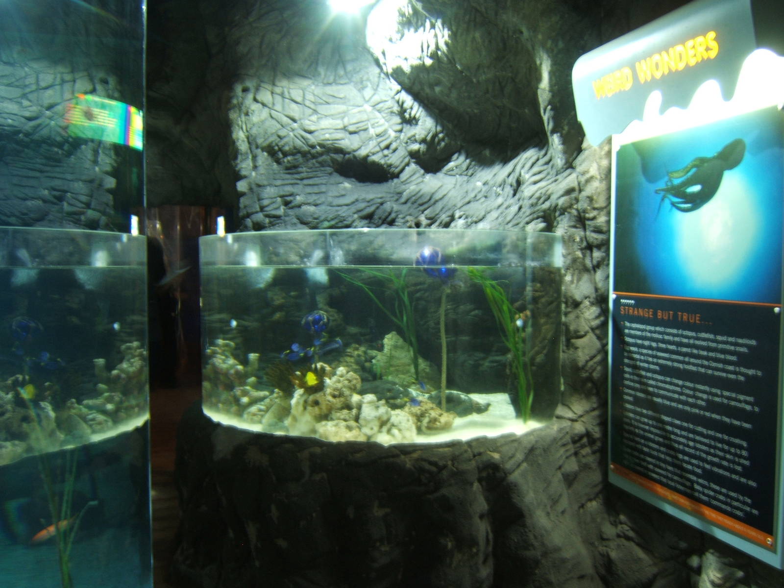 View of exhibit