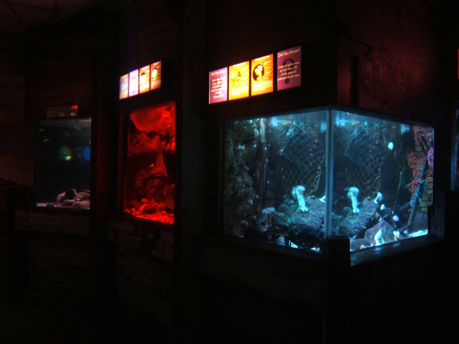 View of exhibits